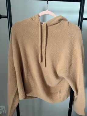 Express Camel Hoodie Sweater Set